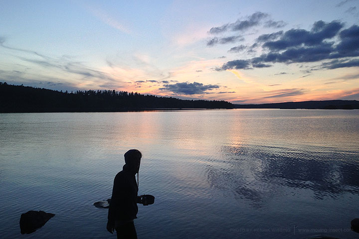 Nature photos